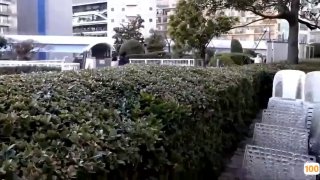 ldquo www⭕❌plap🔯日韩 rdquo 的百度移动权重查询 - 站长工具